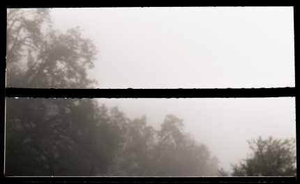 A misty forest landscape viewed through a window, creating a serene autumn ambiance.