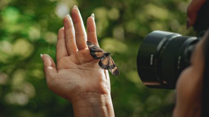 Woman holds butterfly on the palm of her left hand and photographs it with her right; juxtaposing the awesome beauty of nature and our incessant need to document everything rather than just let it exist